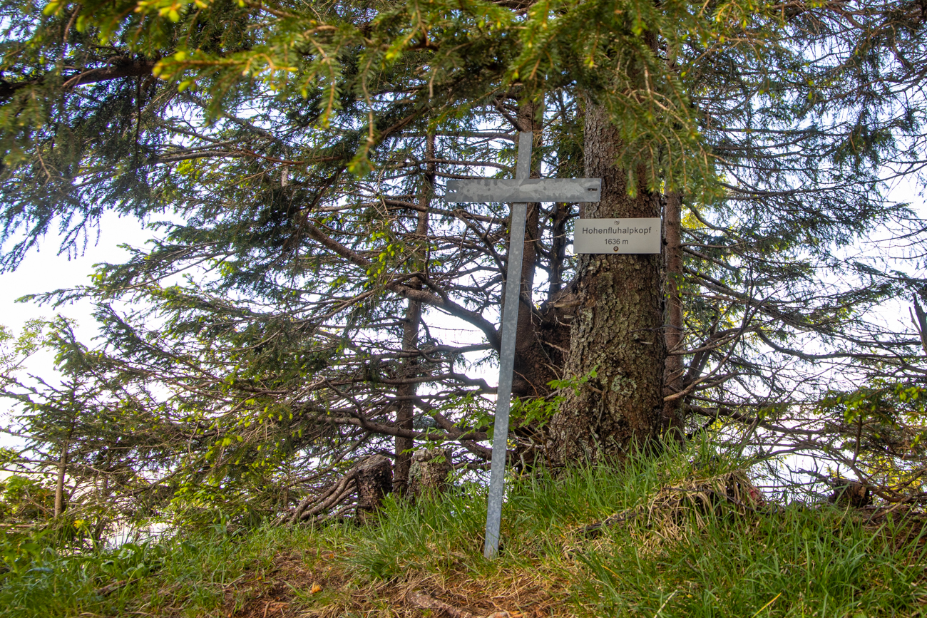 Gipfel des Hohenfluhalpkopfes [1.636 m]