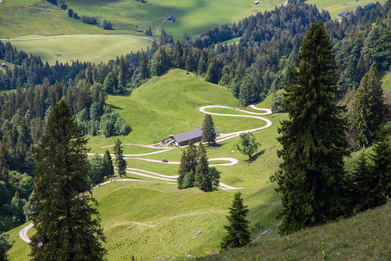 ... da möchte man jetzt mit dem Fahrrad runter ;-)