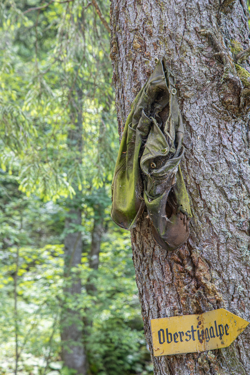 Hm, wer hat da seine Hose an den Nagel gehängt?
