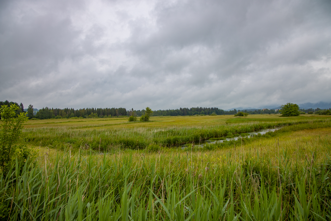 Blick über das Moor