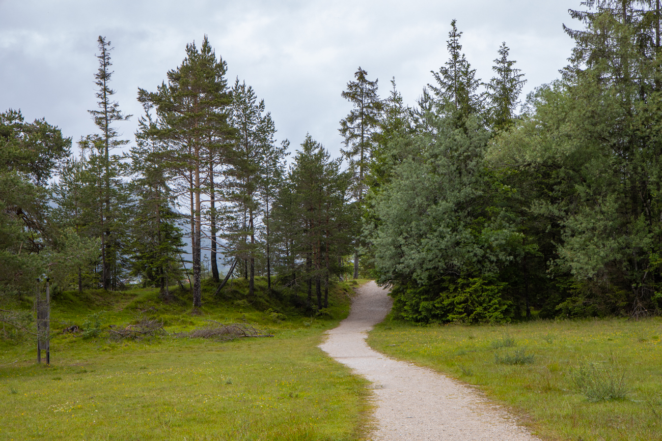 Der Weg ist fast zu gut gepflegt