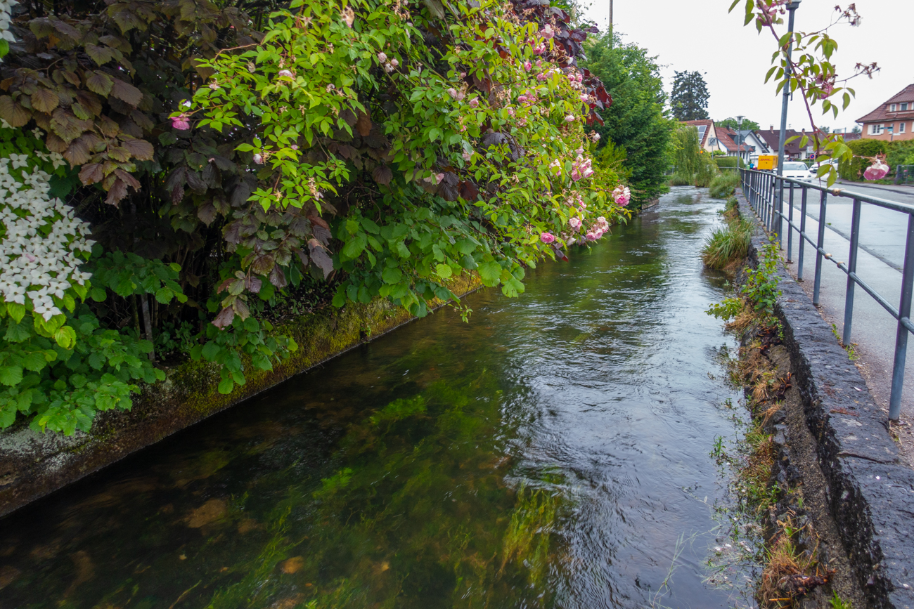 Isny hat zahlreiche Wasserflächen, Bäche und Flüsschen