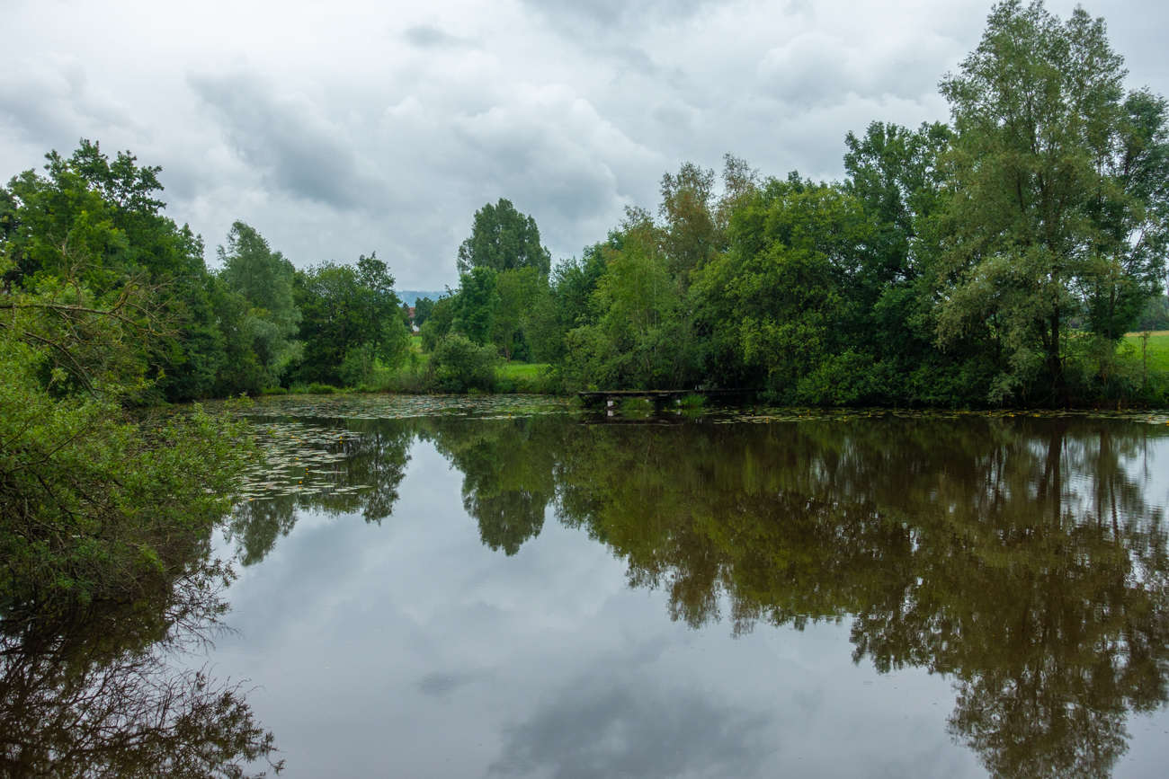 Weiher mit Seerosen