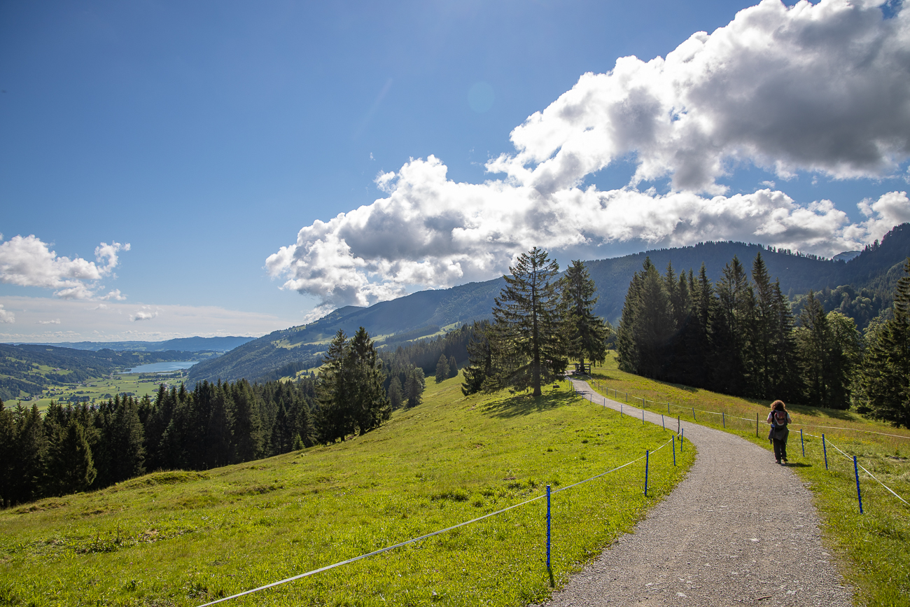 Wanderweg zwischen den Weiden ...