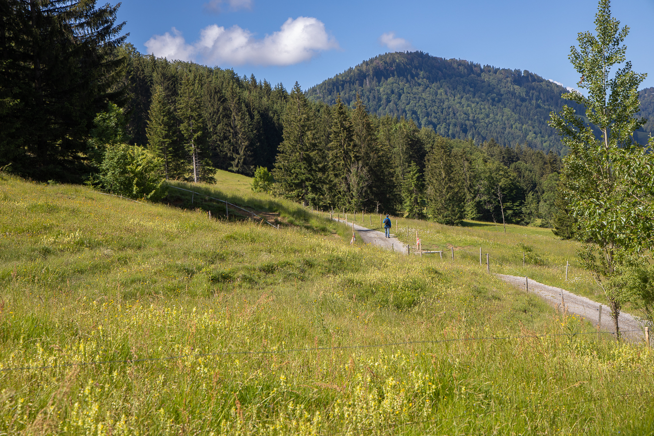 Auf dem Wanderweg ...