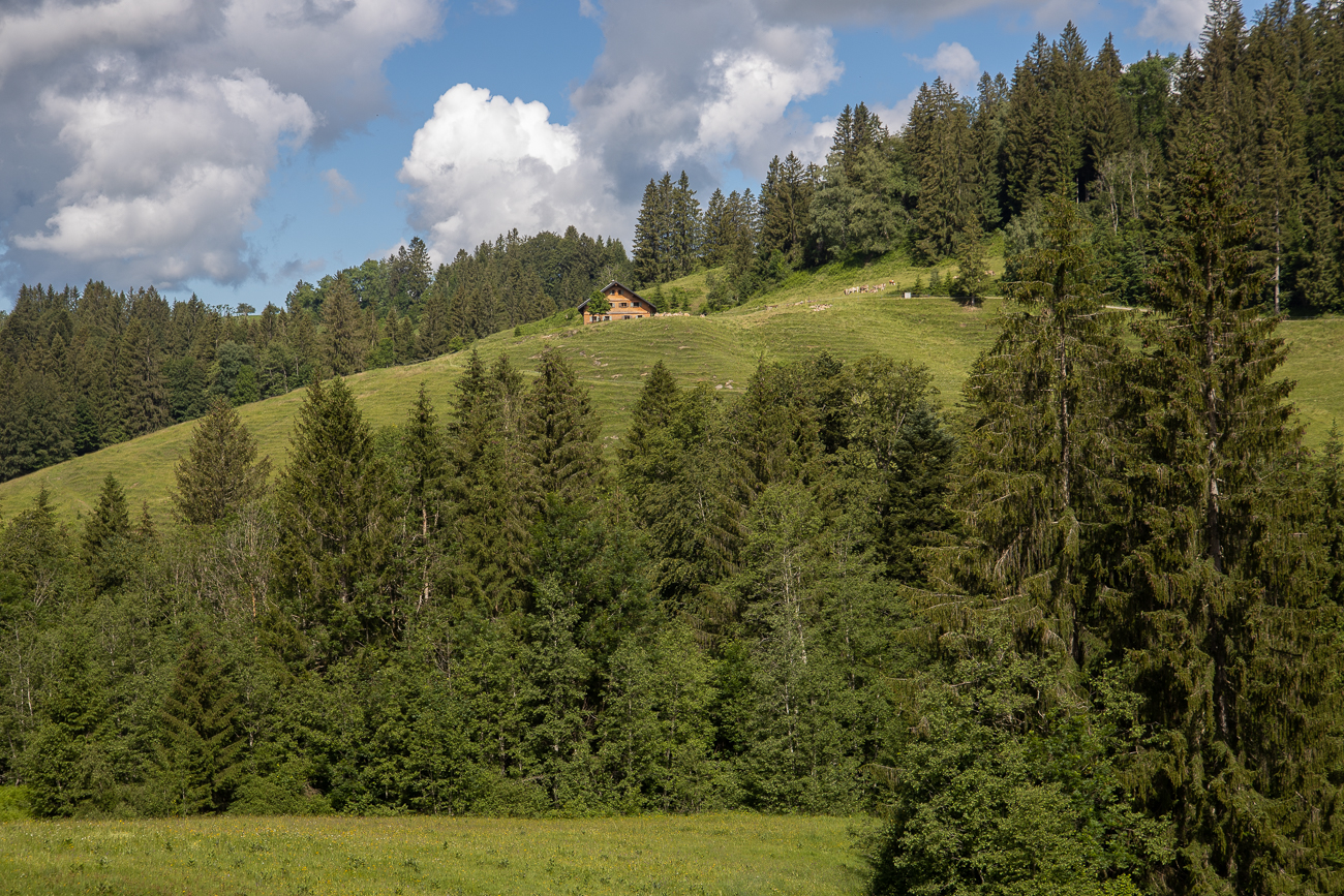 Schön gelegene Hütte