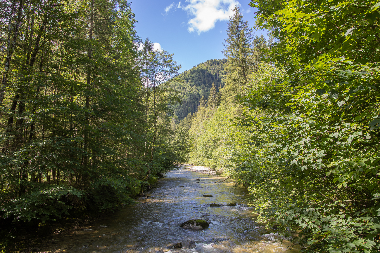 Das Flüsschen Weißach ...