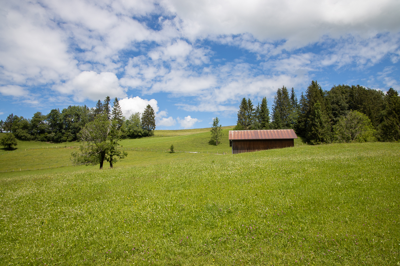 Allgäu-Landschaft