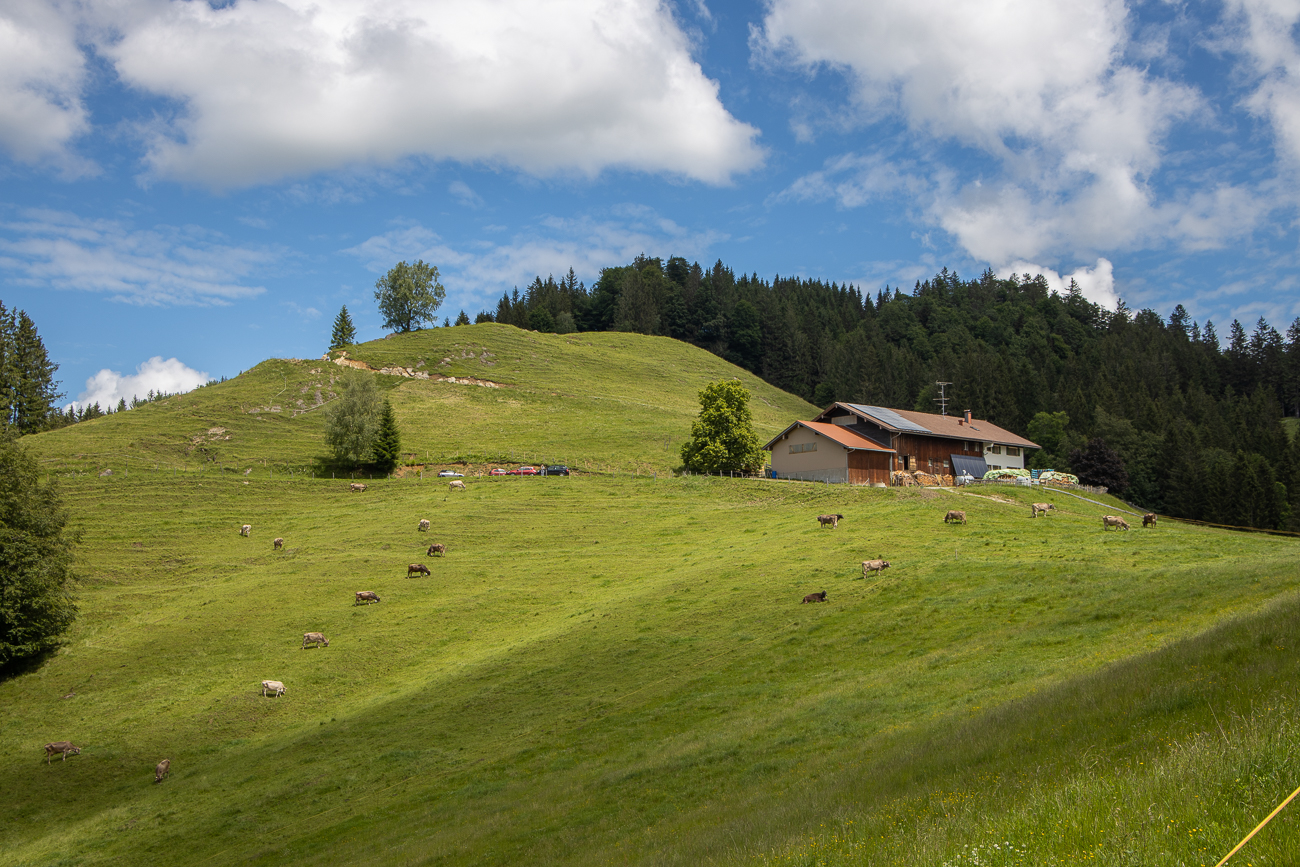 Es geht weiter ziemlich steil den Berg hinauf