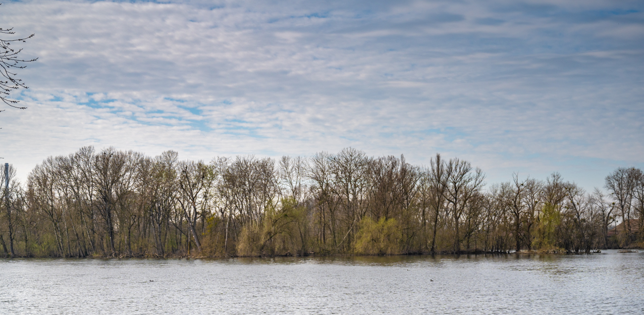 Am Knielinger See