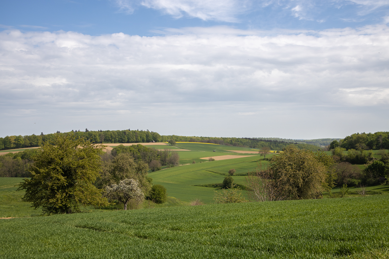 Kraichgau-Landschaft