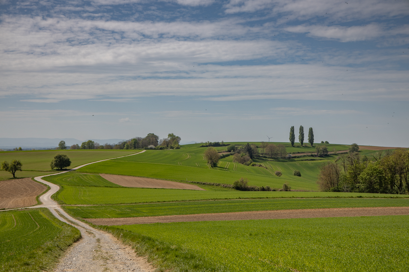 Das schöne Kraichgau