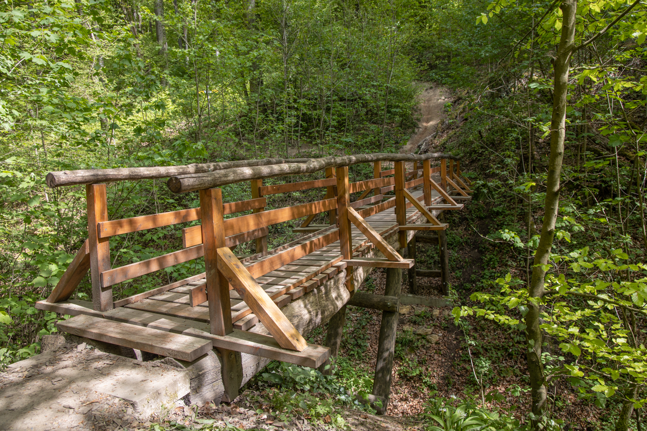 Über die Brücke müssen wir nicht