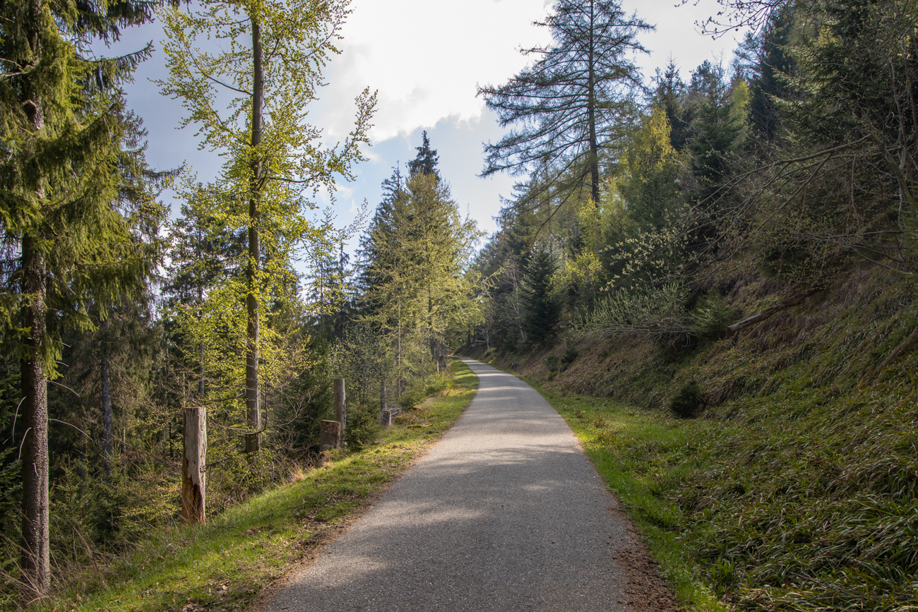 Zu Beginn ein langer Anstieg auf Asphalt
