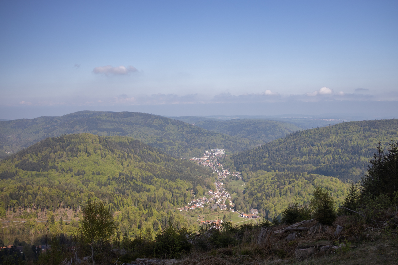 Blick auf Bad Herrenalb ...