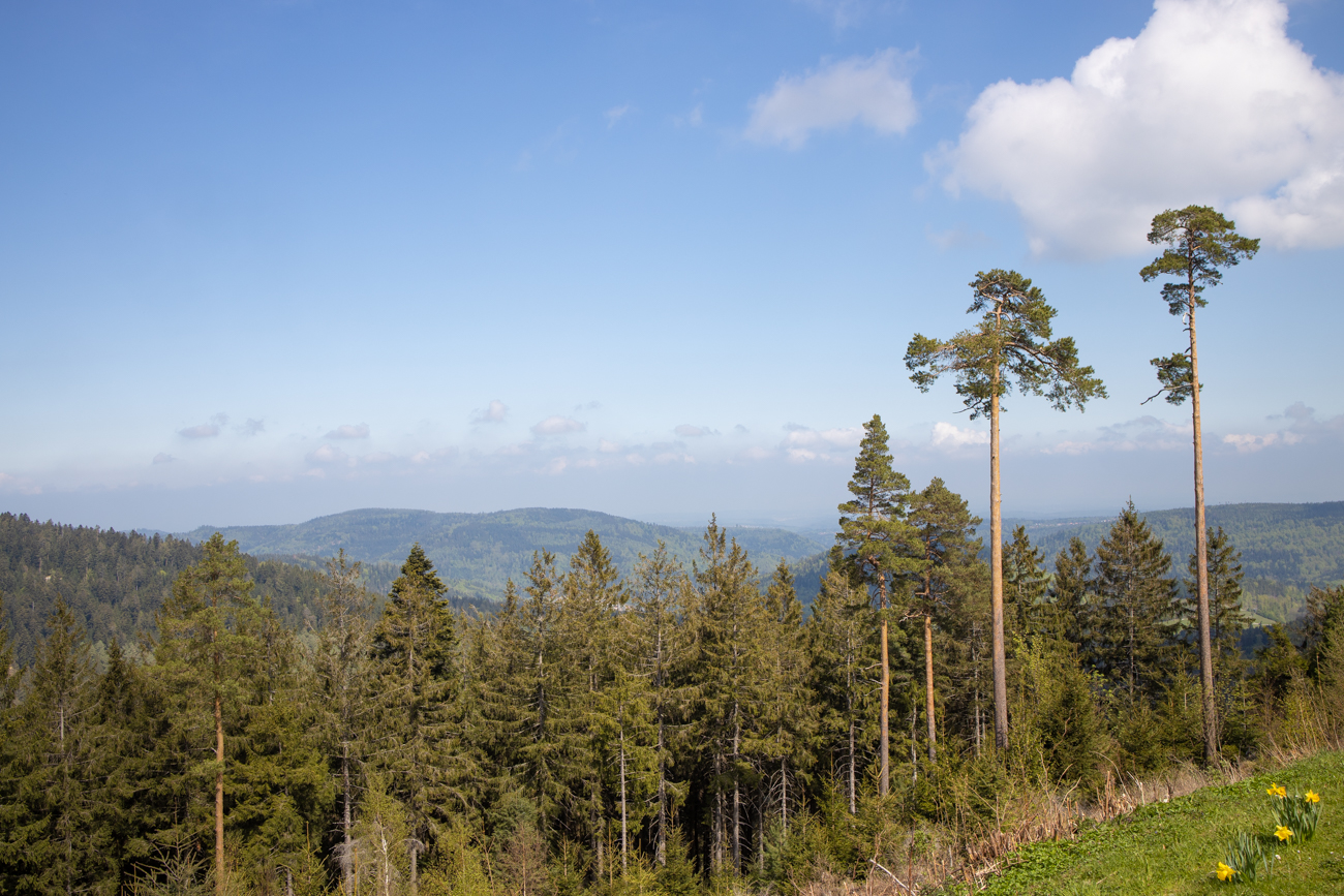 An der Hahnenfalzhütte ...