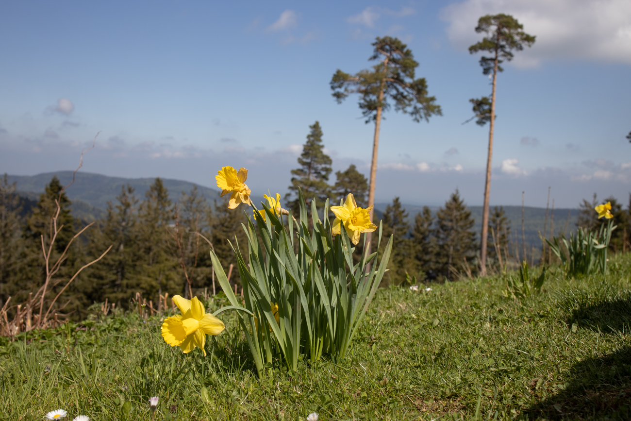 ... lässt es sich gut rasten