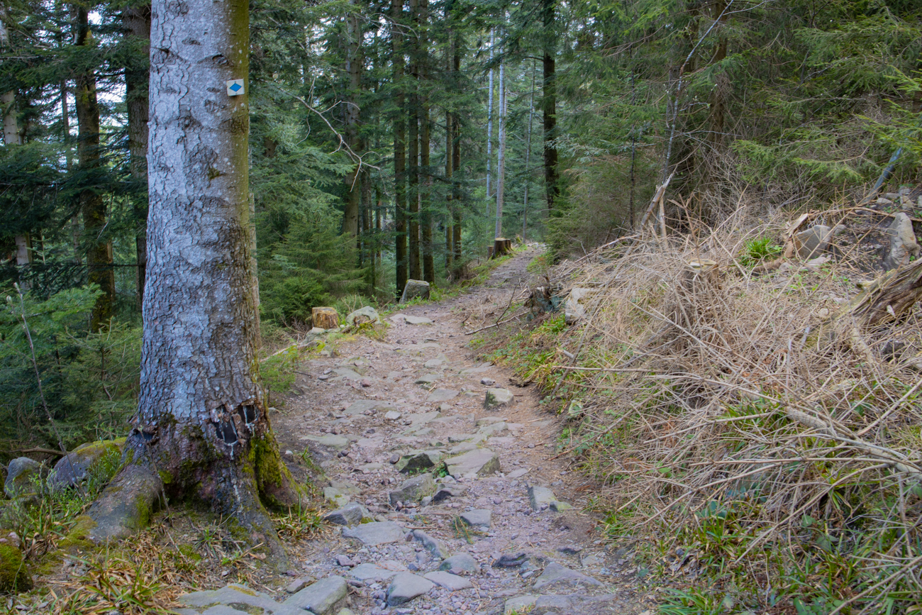 Steiniger Weg ins Tal