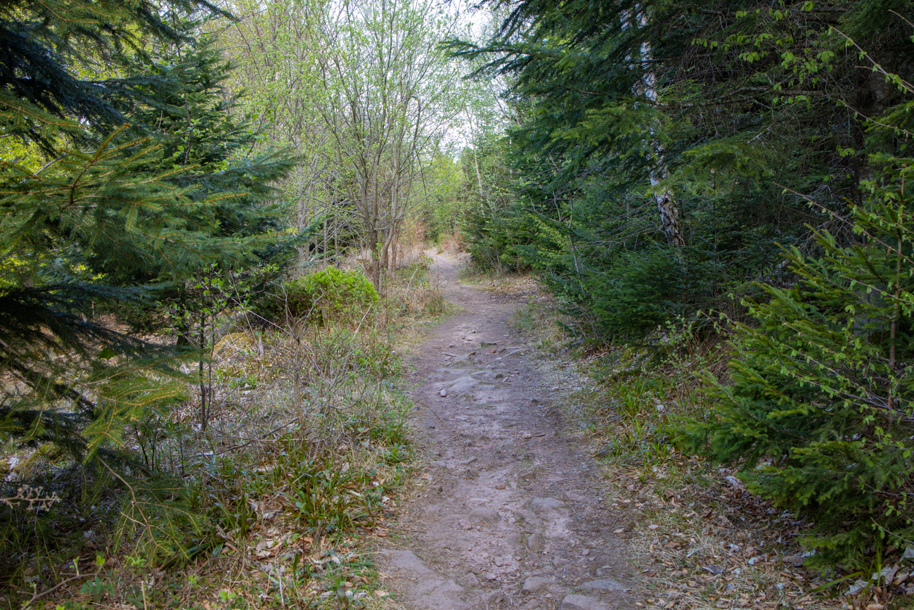 Auf diesem Pfad lässt es sich leichter laufen