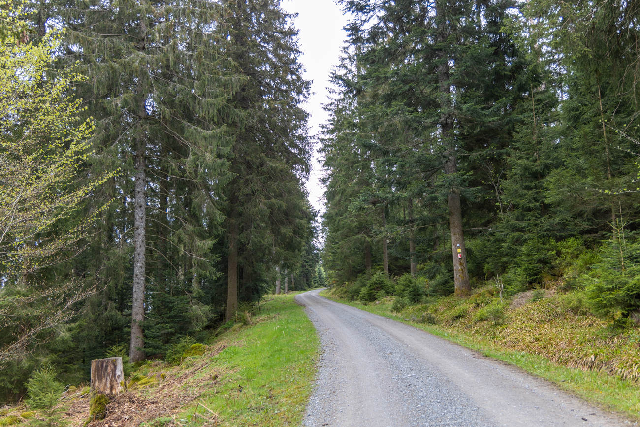Am Anfang geht es immer bergauf