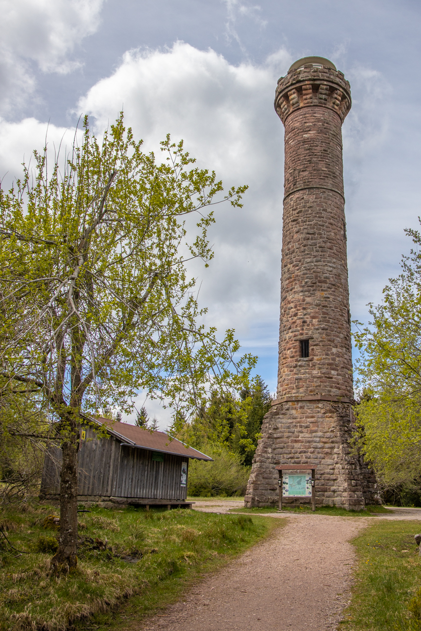Am "Großen Hohlohsee"