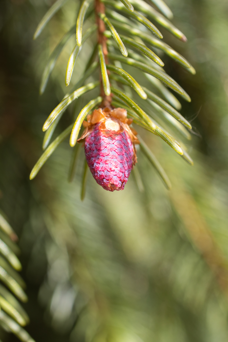 ... schön das Ereignis hier beobachten zu können