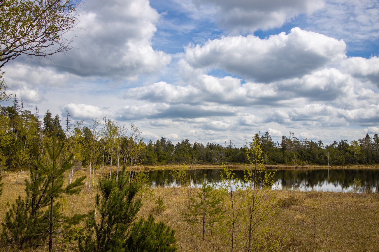 ... ein schönes Biotop ...