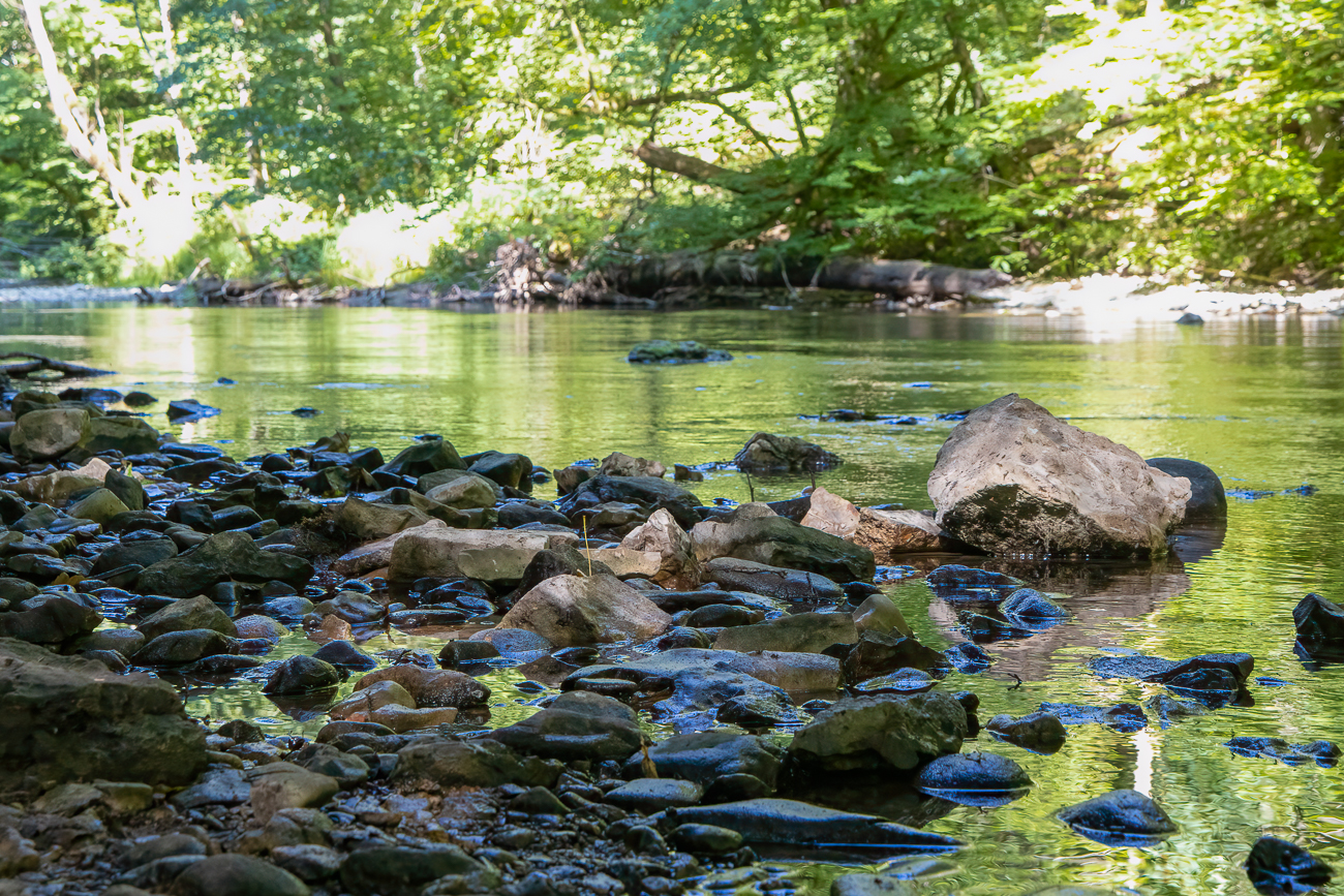 Steine in der Wutach