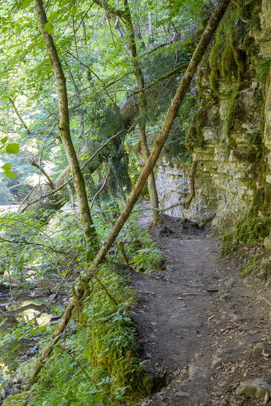 Die Wege sind teils schmierig ...