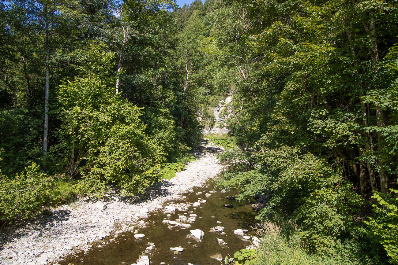 Natürlich wieder die Wutach