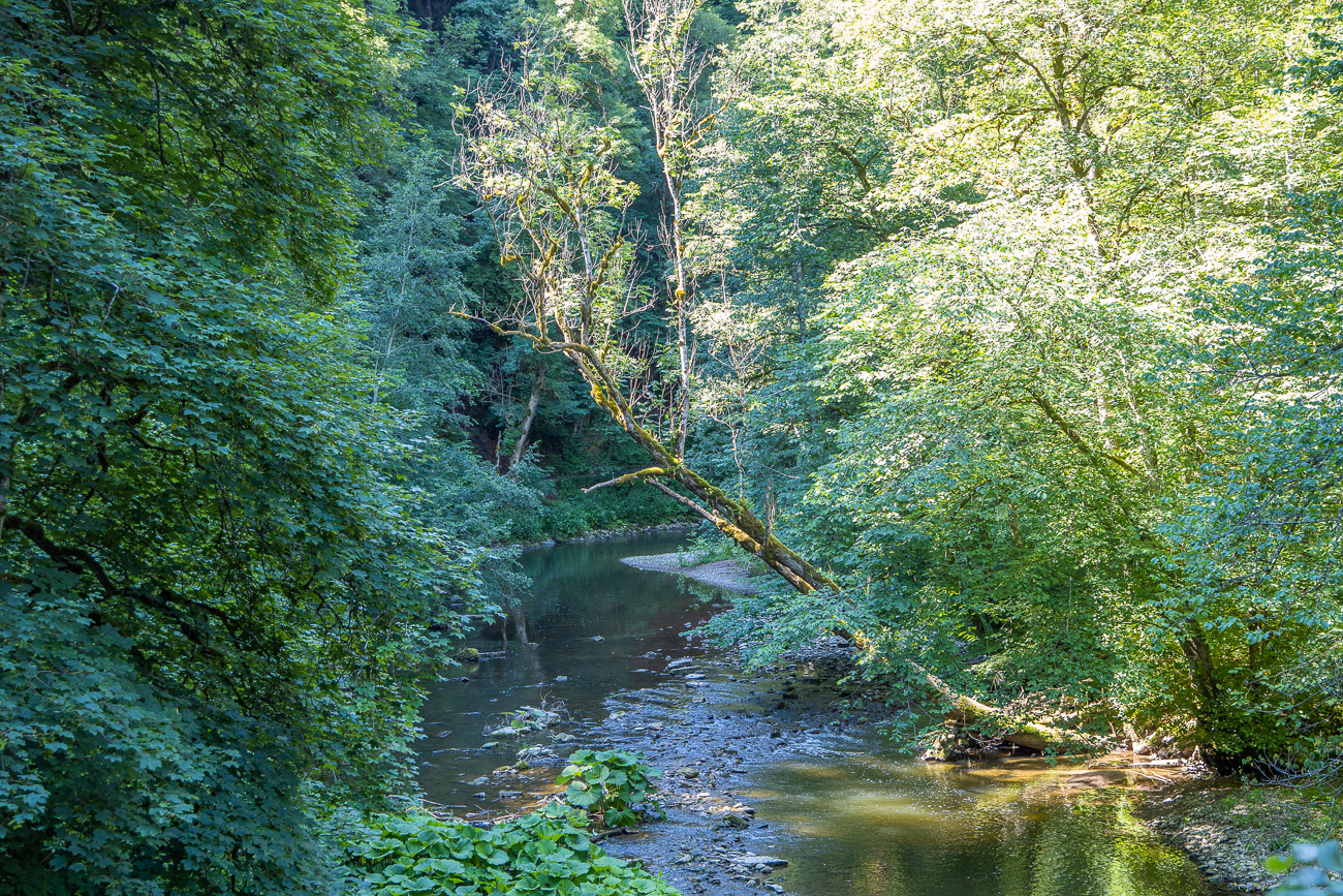 Schattiges Flusstal