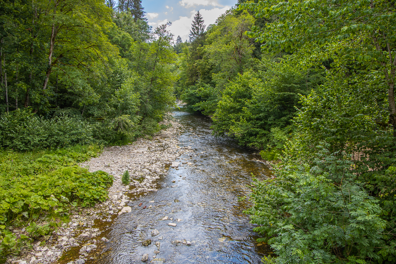 Letzter Blick auf die Wutach