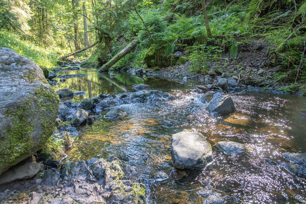 Der Rotbach fließt durch die Schlucht