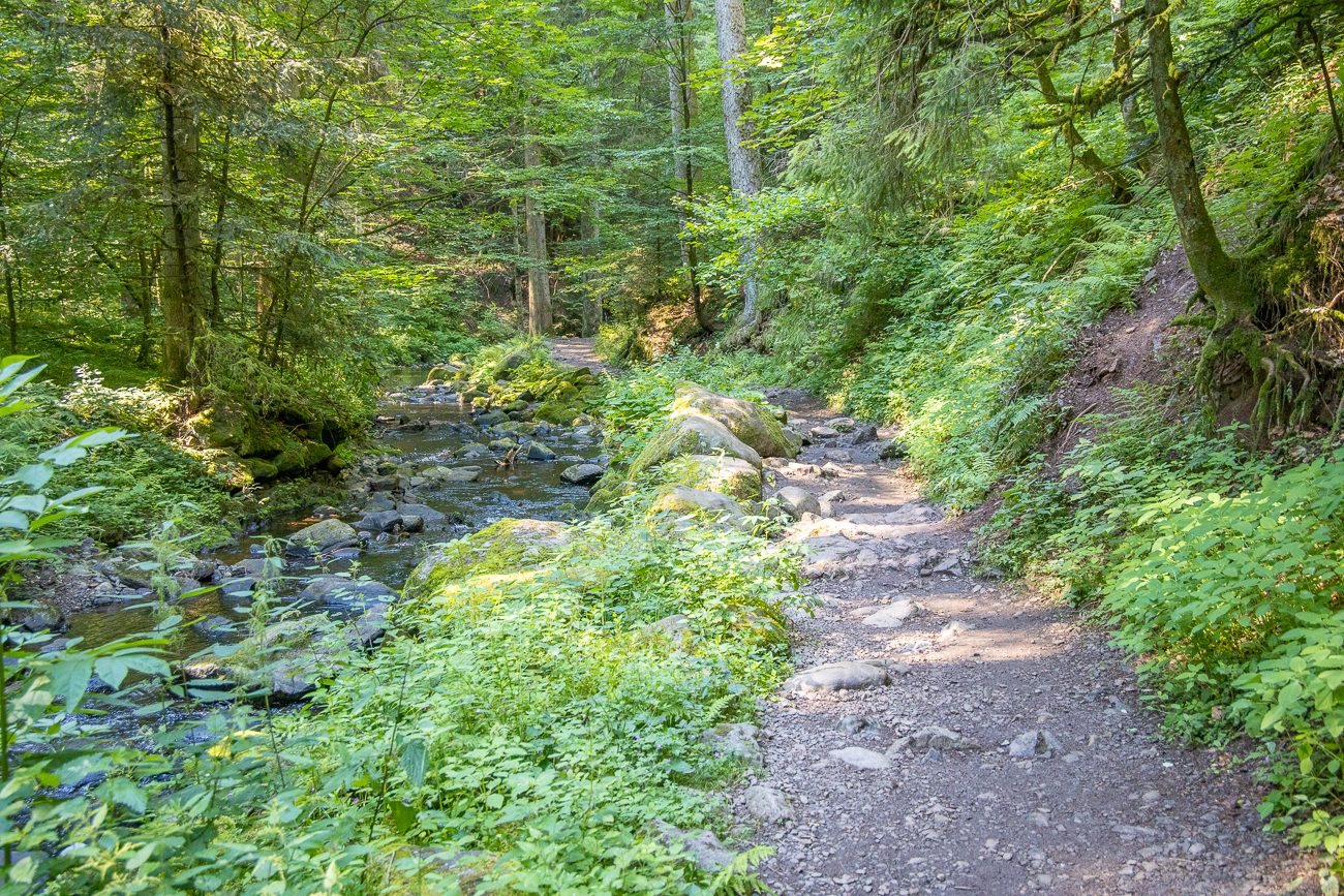 Wanderweg entlang des Rotbaches