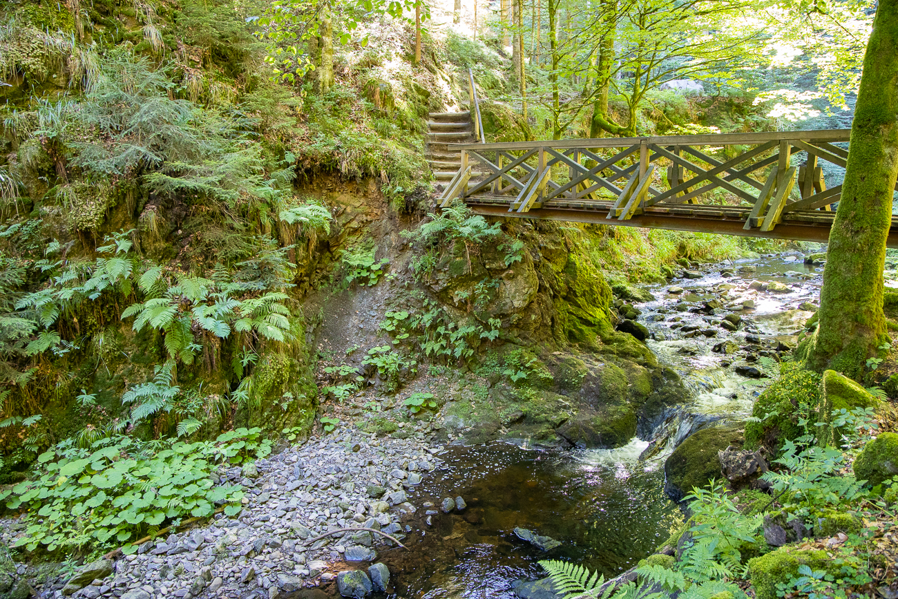 Brücke über dem Rotbach