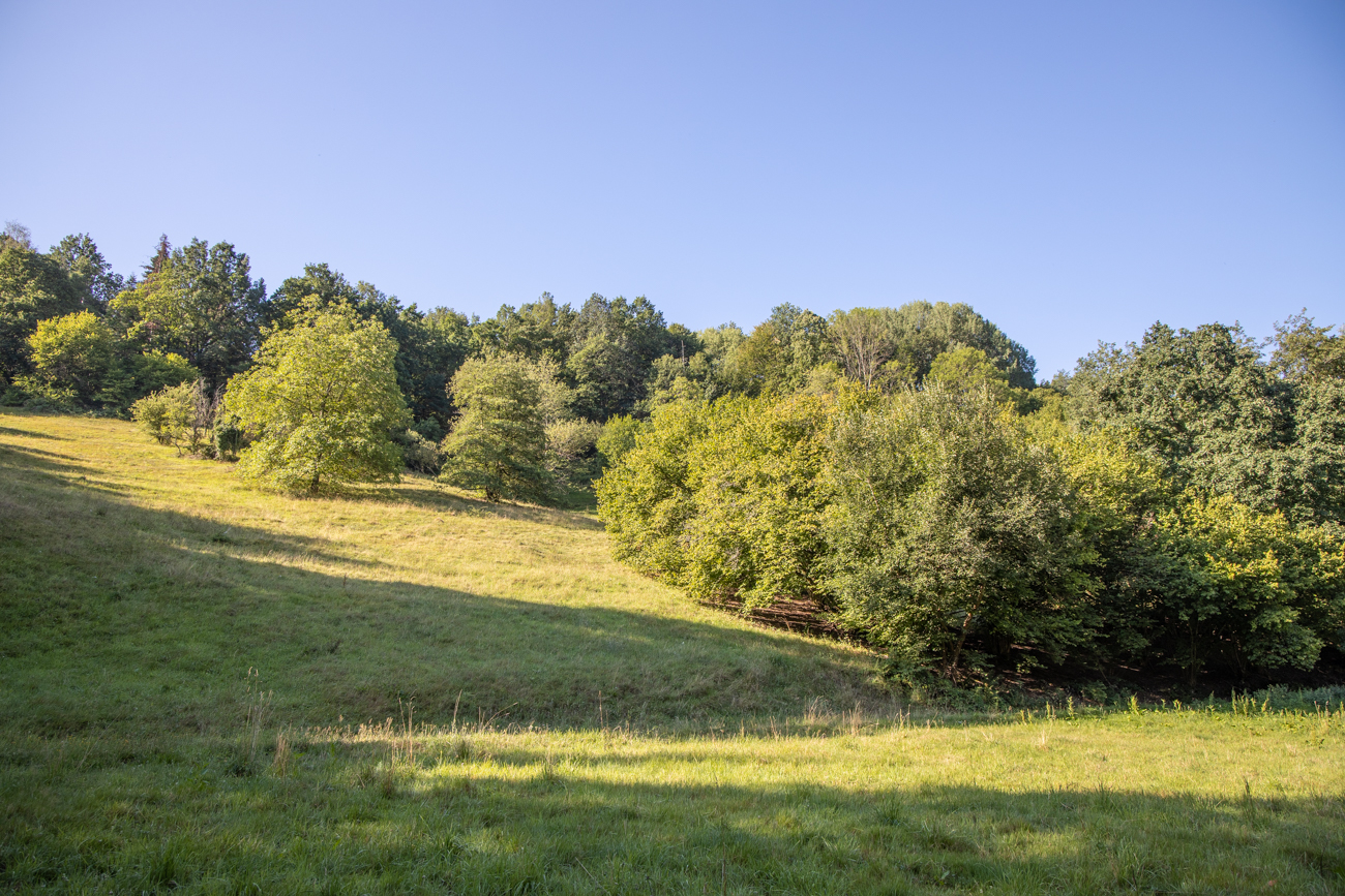 Hügellandschaft