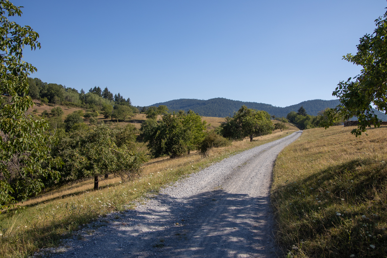 Sonniger Weg ins Tal