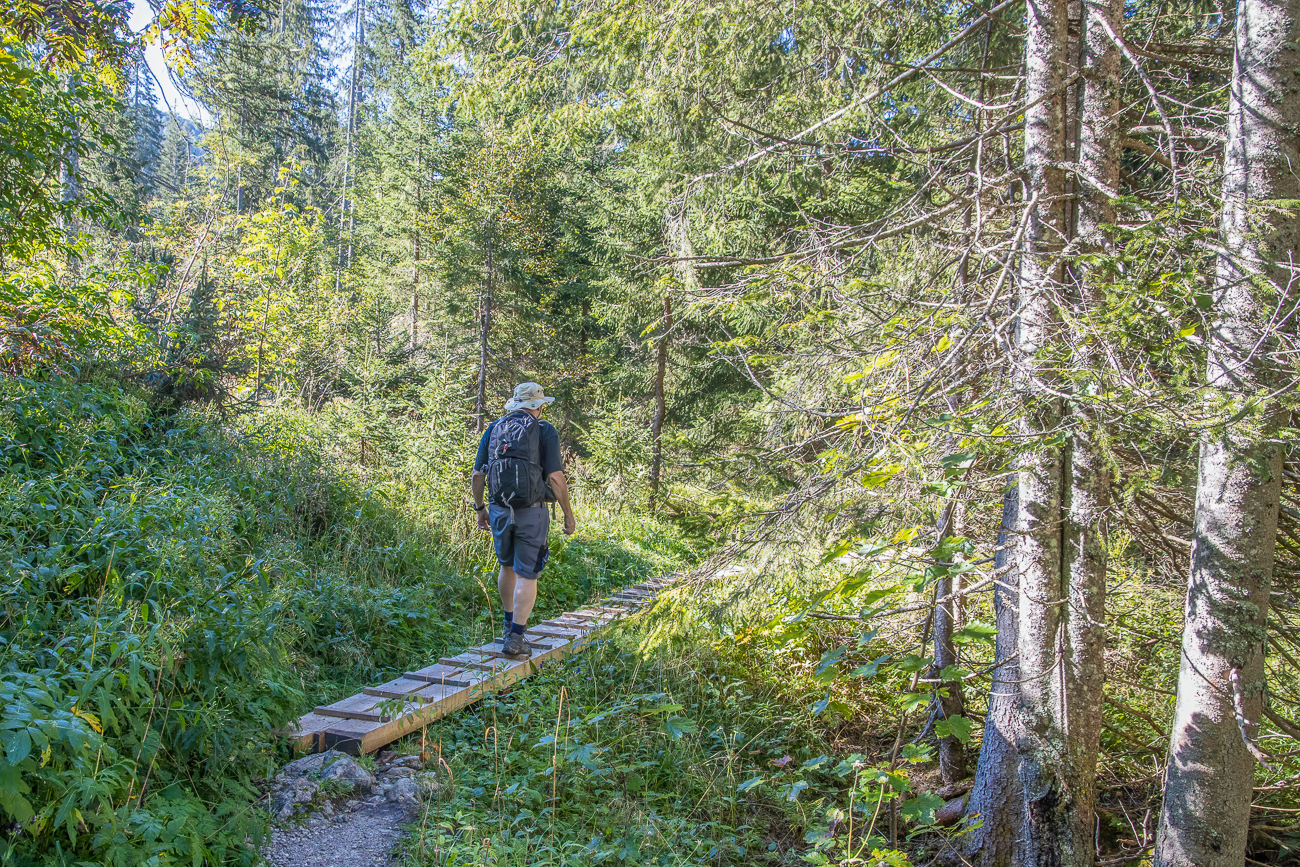 Sumpfige Stellen werden auf Holzstegen überquert