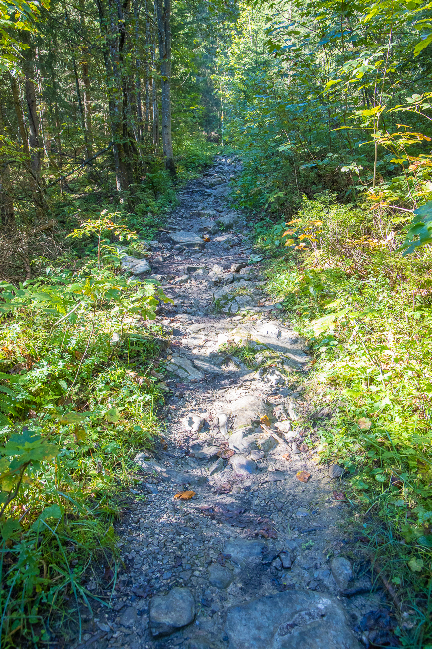 Hier beginnt der anstrengende Teil des Weges, die groben Steine sind feucht und rutschig