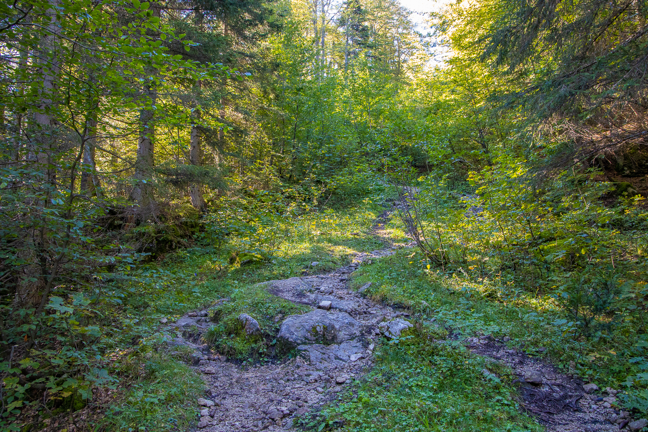 Wir kraxeln weiter bergauf