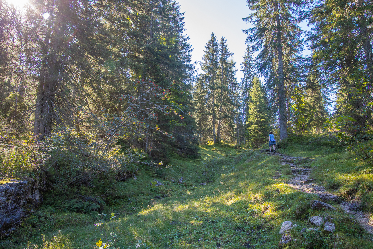 Der Weg ist beschwerlicher als es auf den Bilder erscheint