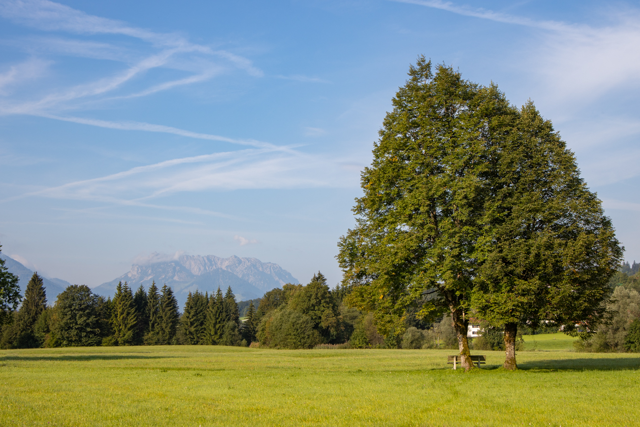 Von der offenen Landschaft ...