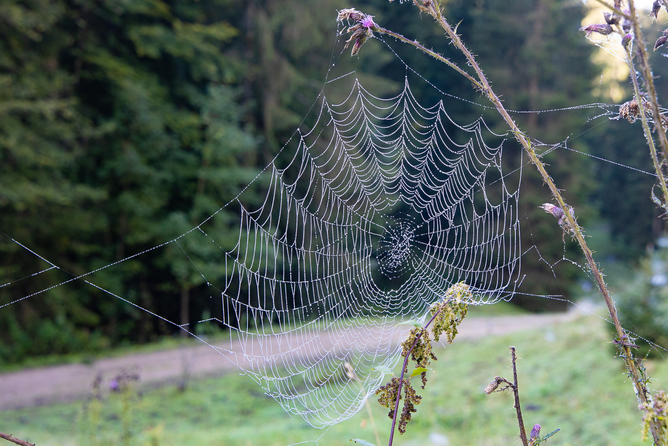 Nochmal etwas größer