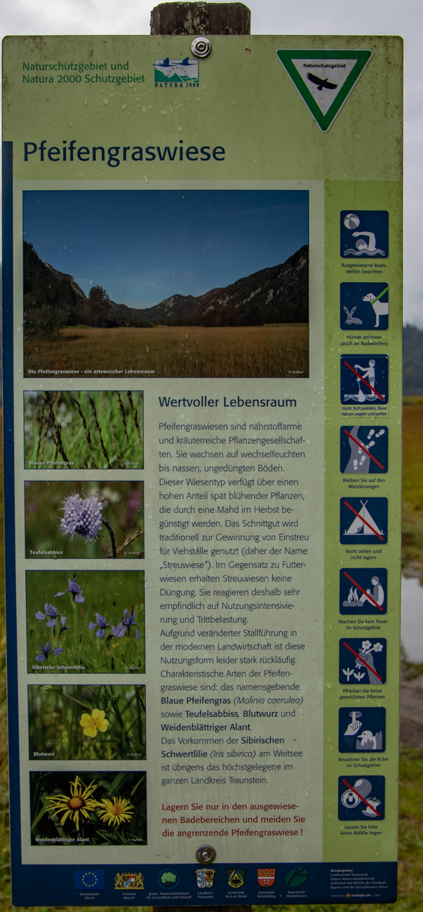 Infos zu den Pfeifengraswiesen