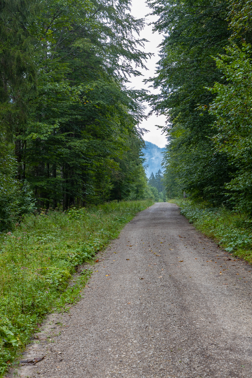 Leider führt der Weg eione ganze Weile durch den Wald hinter dem Mittersee und Lödensee entlang