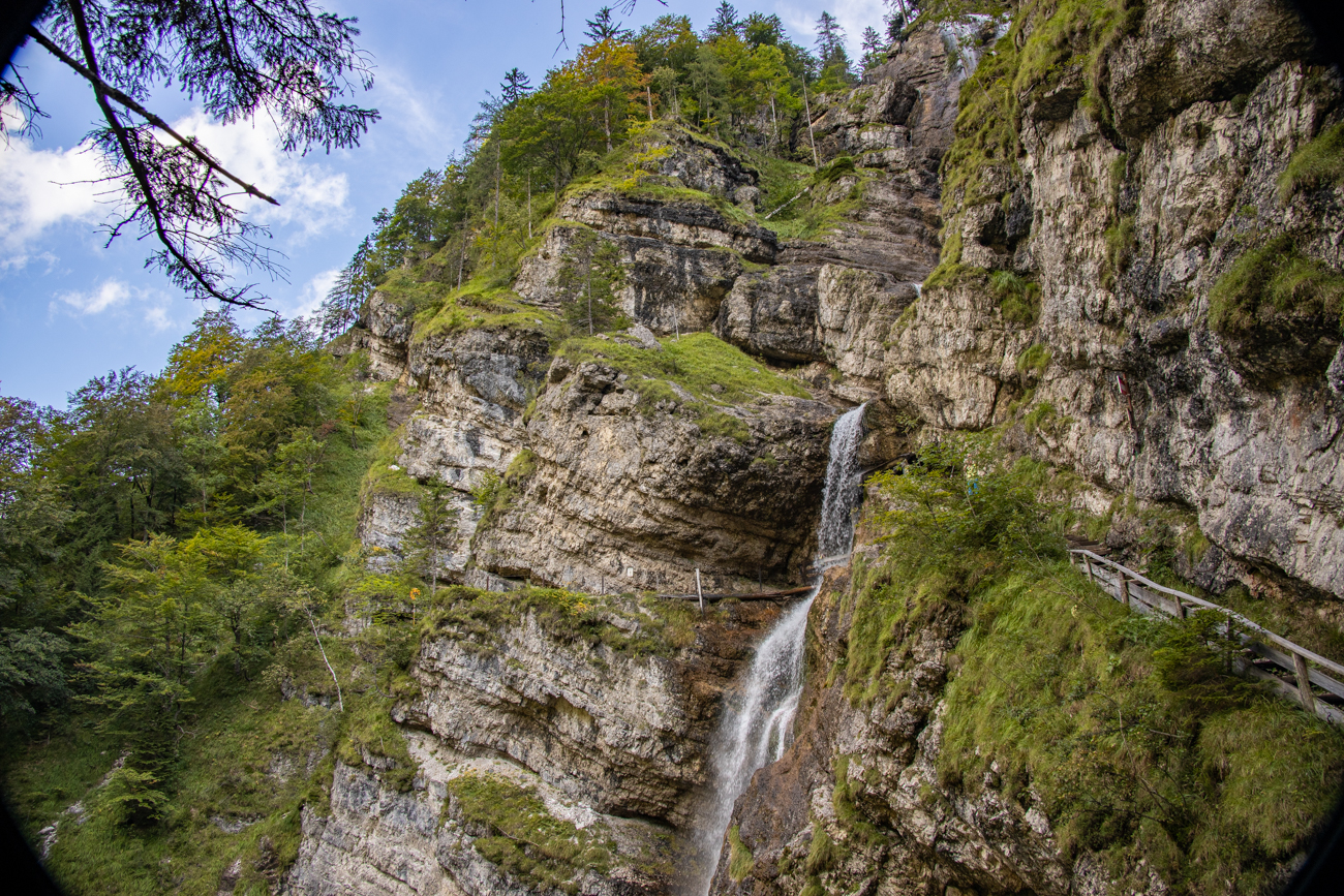 ... gibt es zahlreiche Pflanzen zu bewundern