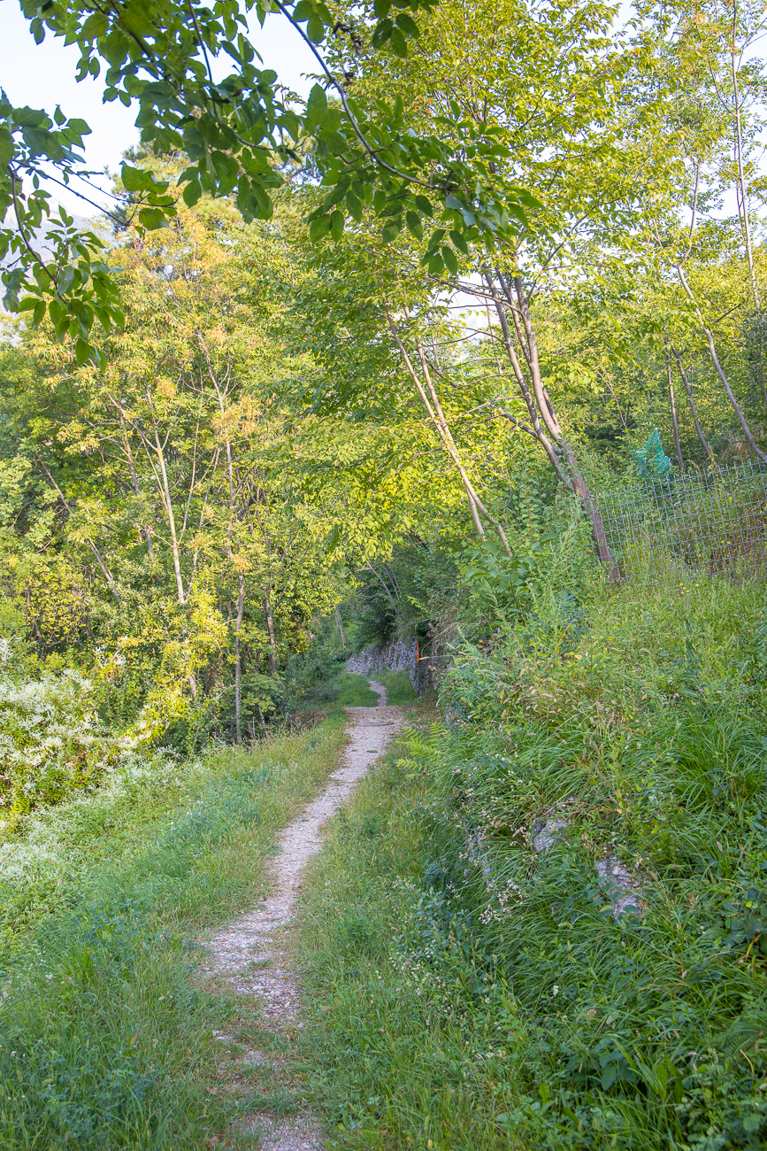 ... danach über schmale Pfade ...
