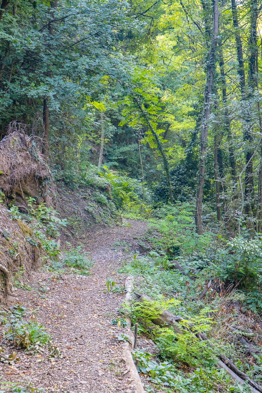 ... geht es immer tiefer hinab