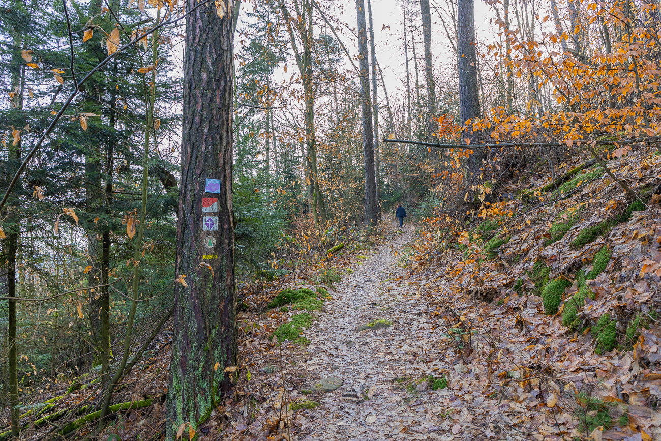 Zunächst geht es erstmal bergauf