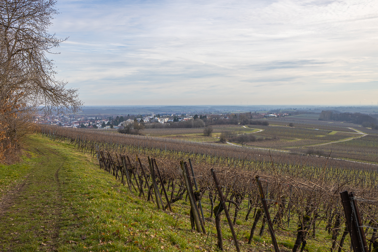 Blick Richtung Bad Bergzabern